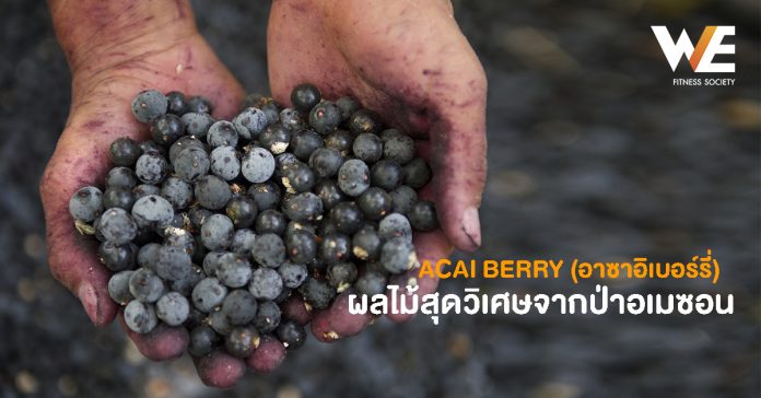 Coverผลไม้สุดวิเศษจากป่าอเมซอน